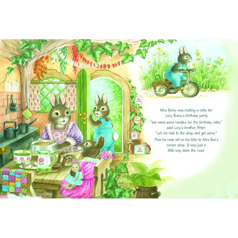 SHIRLEY BARBER LUCY BUNNY'S FAIRY BIRTHDAY WISHES HARD BACK