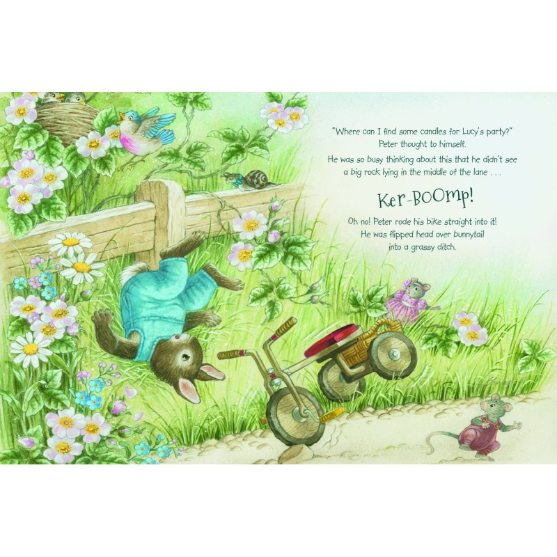 SHIRLEY BARBER LUCY BUNNY'S FAIRY BIRTHDAY WISHES HARD BACK