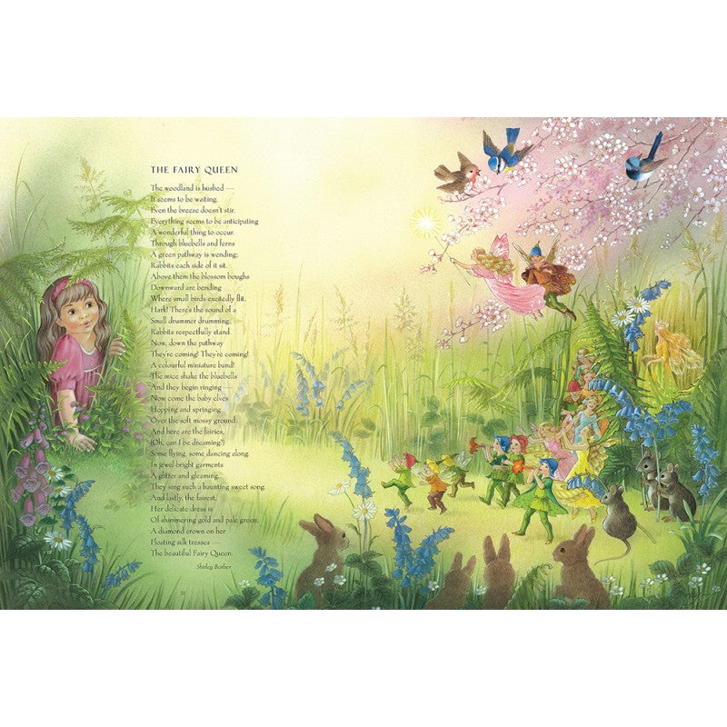 SHIRLEY BARBER FAIRY BOOK PAPERBACK