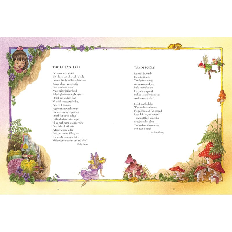 SHIRLEY BARBER FAIRY BOOK PAPERBACK