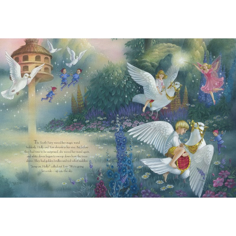 SHIRLEY BARBER THE TOOTH FAIRY PAPERBACK