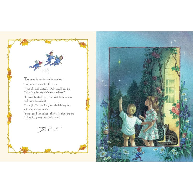 SHIRLEY BARBER THE TOOTH FAIRY PAPERBACK