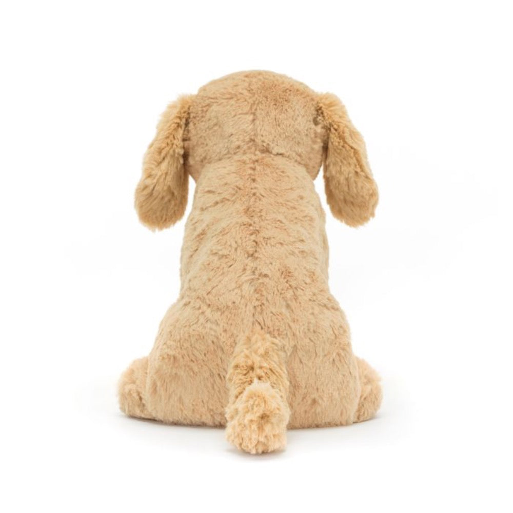 TILLY THE GOLDEN RETRIEVER