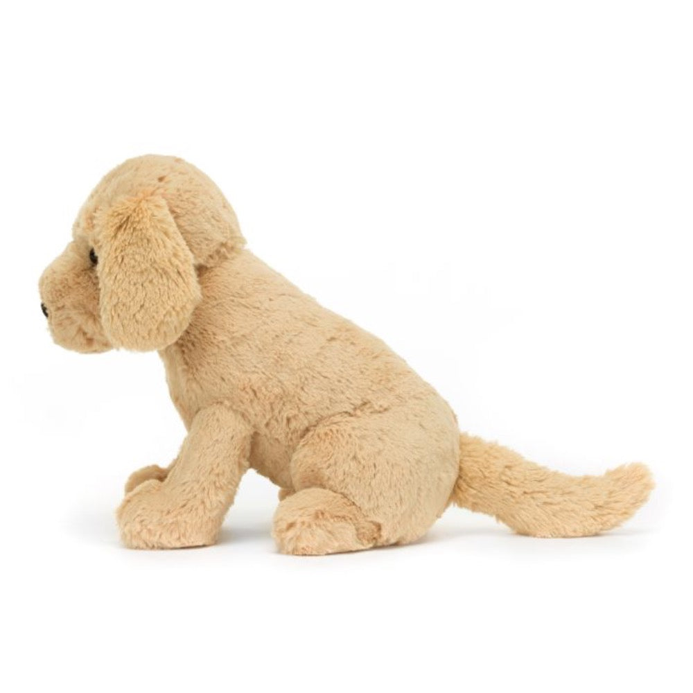 TILLY THE GOLDEN RETRIEVER