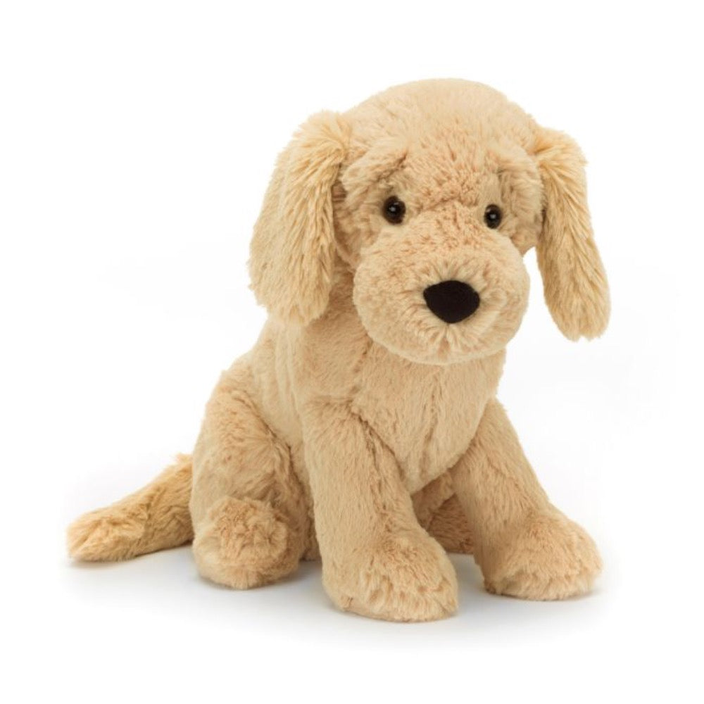 TILLY THE GOLDEN RETRIEVER